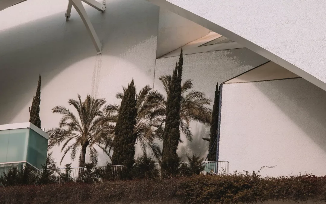 Where Everything Began