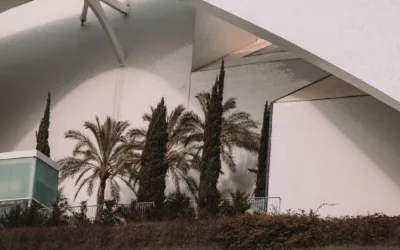 Where Everything Began