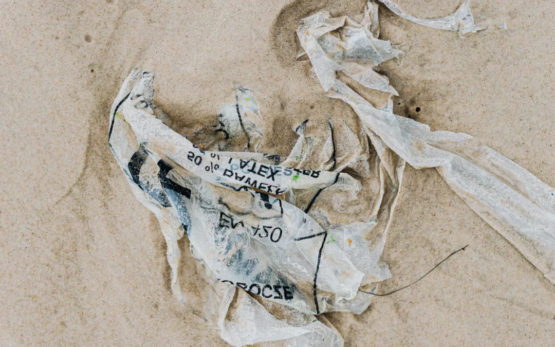 The Silent Killer of our Planet