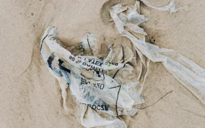 The Silent Killer of our Planet